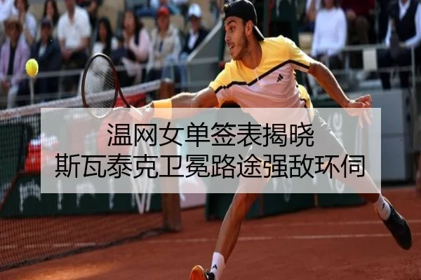 wen-wang-nv-dan-qian-biao-jie-xiao-si-wa-tai-ke-wei-mian-lu-tu-qiang-di-huan-si-2-479.jpg